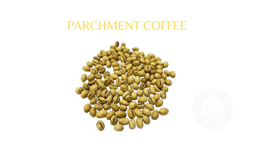 Parchment Coffee
