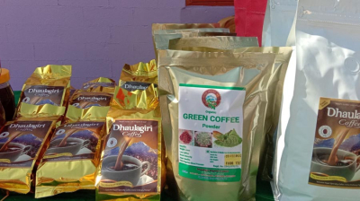 Dhaulagiri Green Coffee Powder
